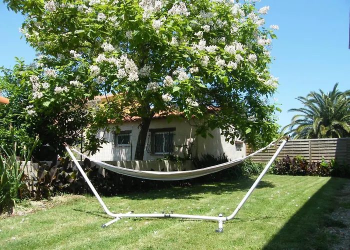 Soleil Catalan Terrasse Panoramique Ok Cheques Animaux 4pers Wifi 65m2 Jardin Parking 2ch 2km *