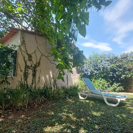 Soleil Catalan Terrasse Panoramique Ok Cheques Animaux 4pers Wifi 65m2 Jardin Parking 2ch 2km Apartment Latour-Bas-Elne