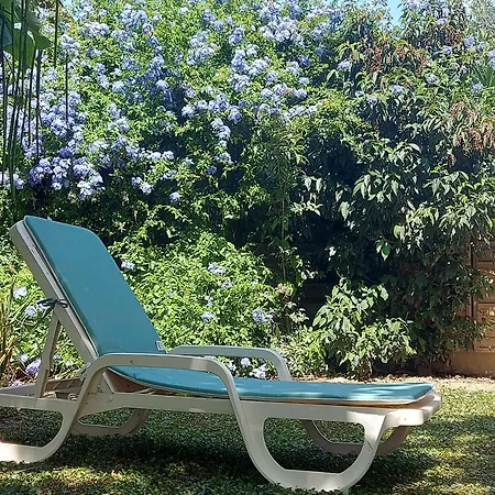 Soleil Catalan Terrasse Panoramique Ok Cheques Animaux 4pers Wifi 65m2 Jardin Parking 2ch 2km *