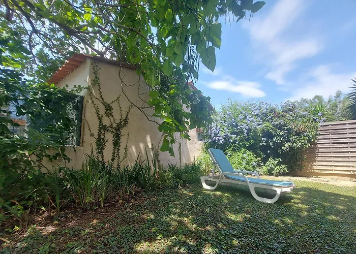 Soleil Catalan Terrasse Panoramique Ok Cheques Animaux 4pers Wifi 65m2 Jardin Parking 2ch 2km Apartamento Latour-Bas-Elne